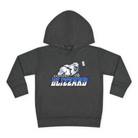 Blizzard Toddler Pullover Hoodie