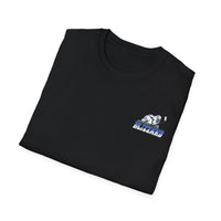 Blizzard Champions Unisex Softstyle T-Shirt - Celebrate Your Team Spirit!