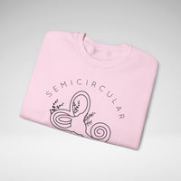 Semicircular Canal Dehiscence Awareness Gildan Unisex Heavy Blend™ Crewneck Sweatshirt