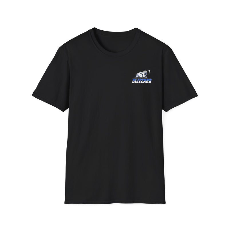 Blizzard Champions Unisex Softstyle T-Shirt - Celebrate Your Team Spirit!