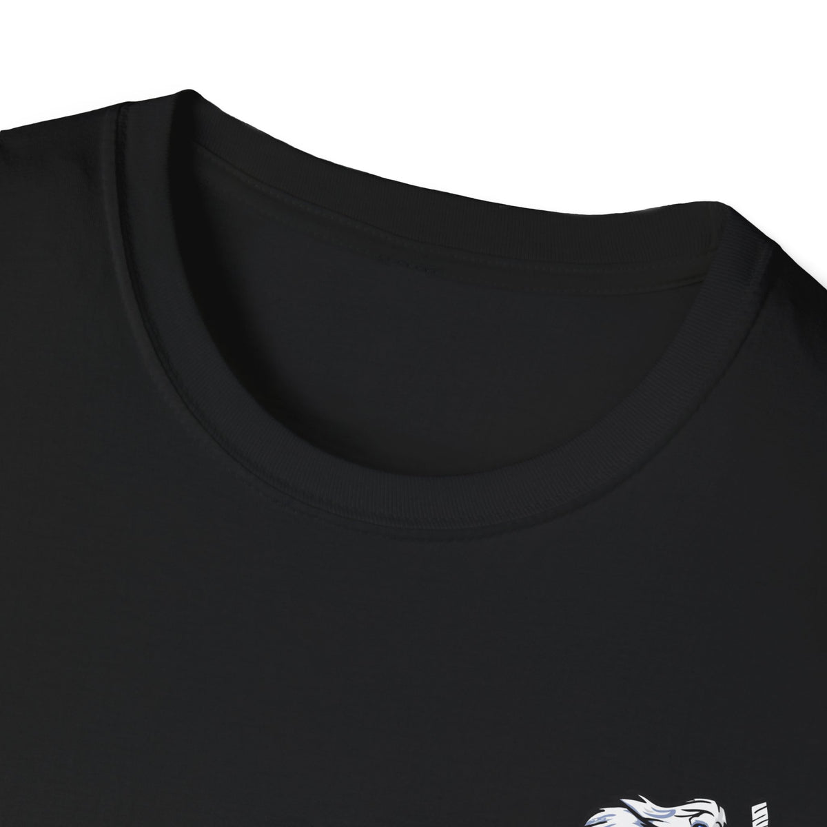 Blizzard Champions Unisex Softstyle T-Shirt - Celebrate Your Team Spirit!