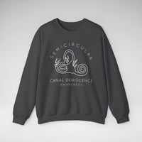 Semicircular Canal Dehiscence Awareness Gildan Unisex Heavy Blend™ Crewneck Sweatshirt