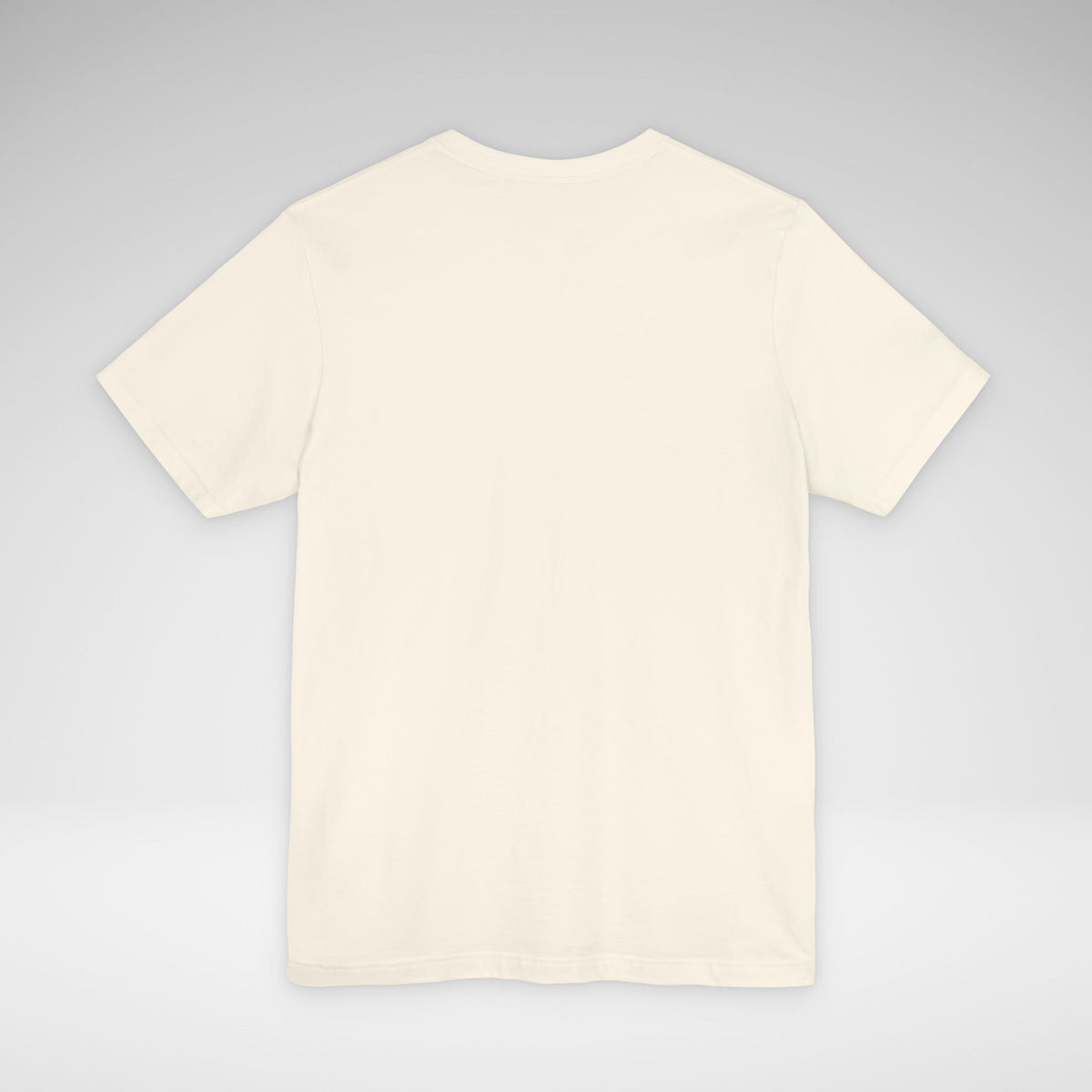 Semicircular Canal Dehiscence Awareness Awareness Bella Canvas Unisex Jersey Short Sleeve Tee